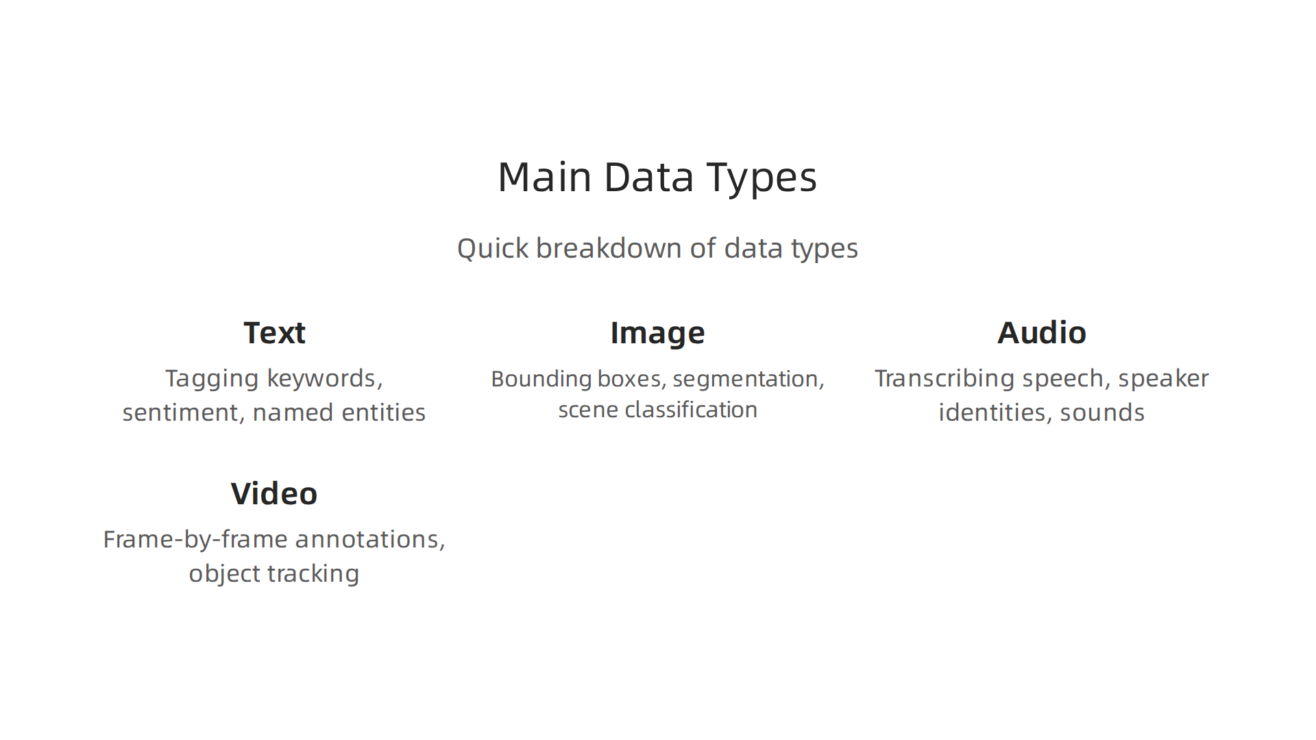 An infographic outlining the primary data types and their corresponding annotation looks.