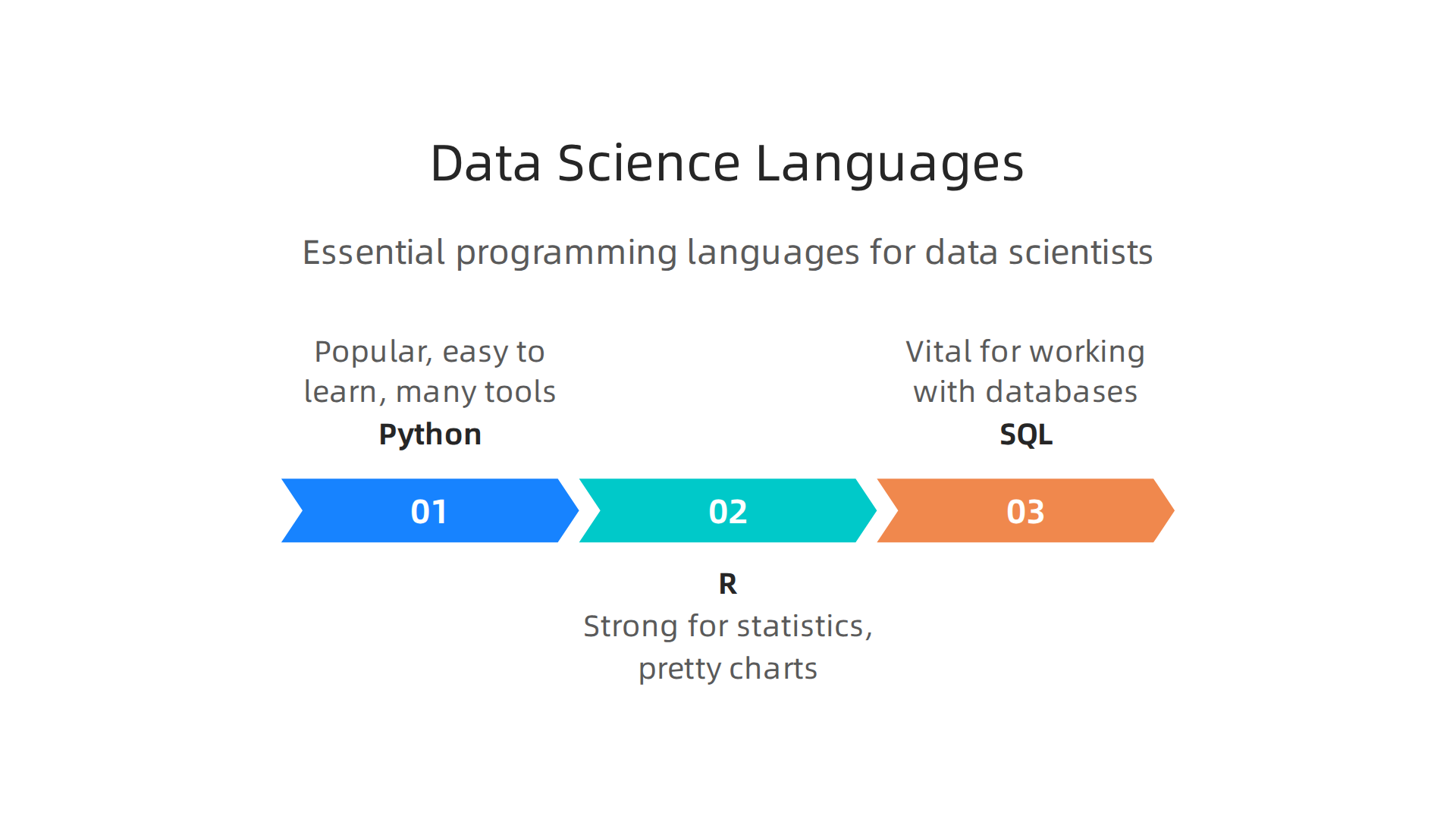 An infographic highlighting the essential programming languages for data scientists.