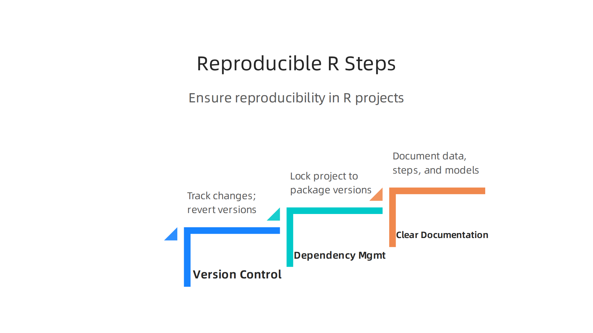 Key practices for ensuring reproducibility in R artificial intelligence projects.