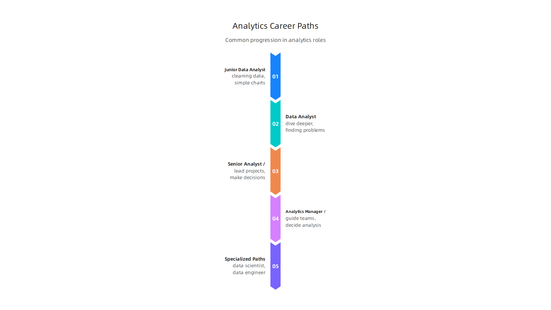 Explore the common career trajectories for analytics professionals, from entry-level to leadership and specialized roles.